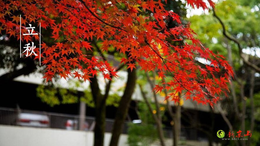 【京山文学】候秋