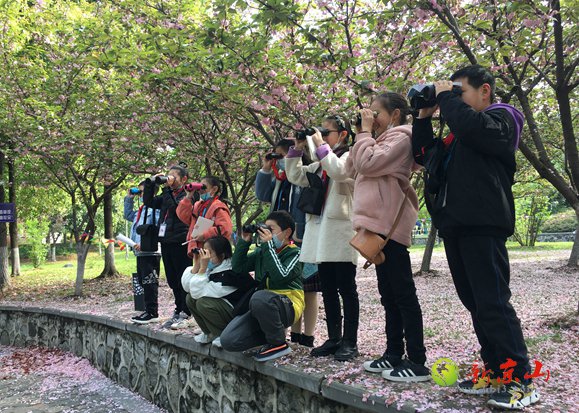 京山小学举行“缤纷的世界”观鸟大赛