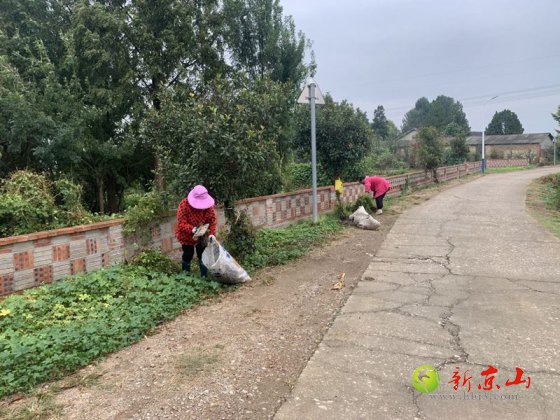 青树岭村志愿者主动维护张文秋故居环境卫生