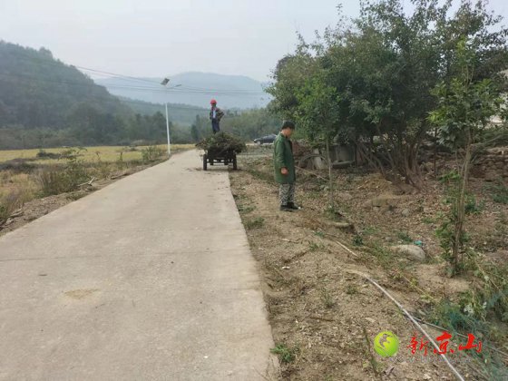 孙桥镇胡家棚村 脱贫户感恩“抢”积分